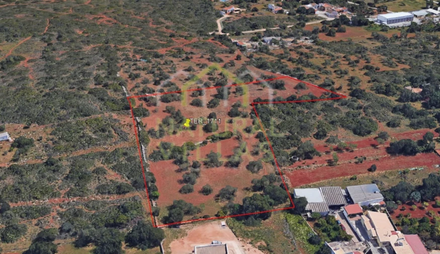 Terreno Agricola ou Rústico para Venda em Almancil Foto 1