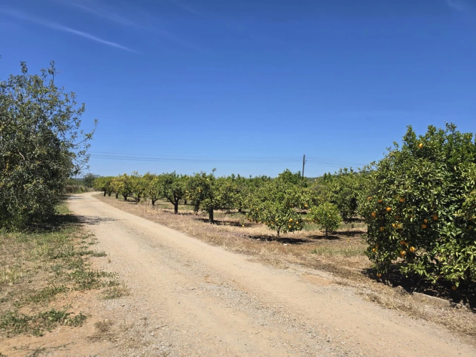 Moradia T4 para Venda em Tavira (Santa Maria e Santiago) Foto 35