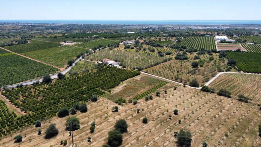 Moradia T4 para Venda em Tavira (Santa Maria e Santiago) Foto 30