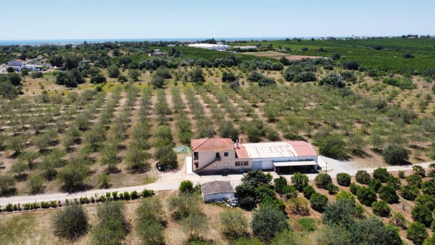 Moradia T4 para Venda em Tavira (Santa Maria e Santiago) Foto 31