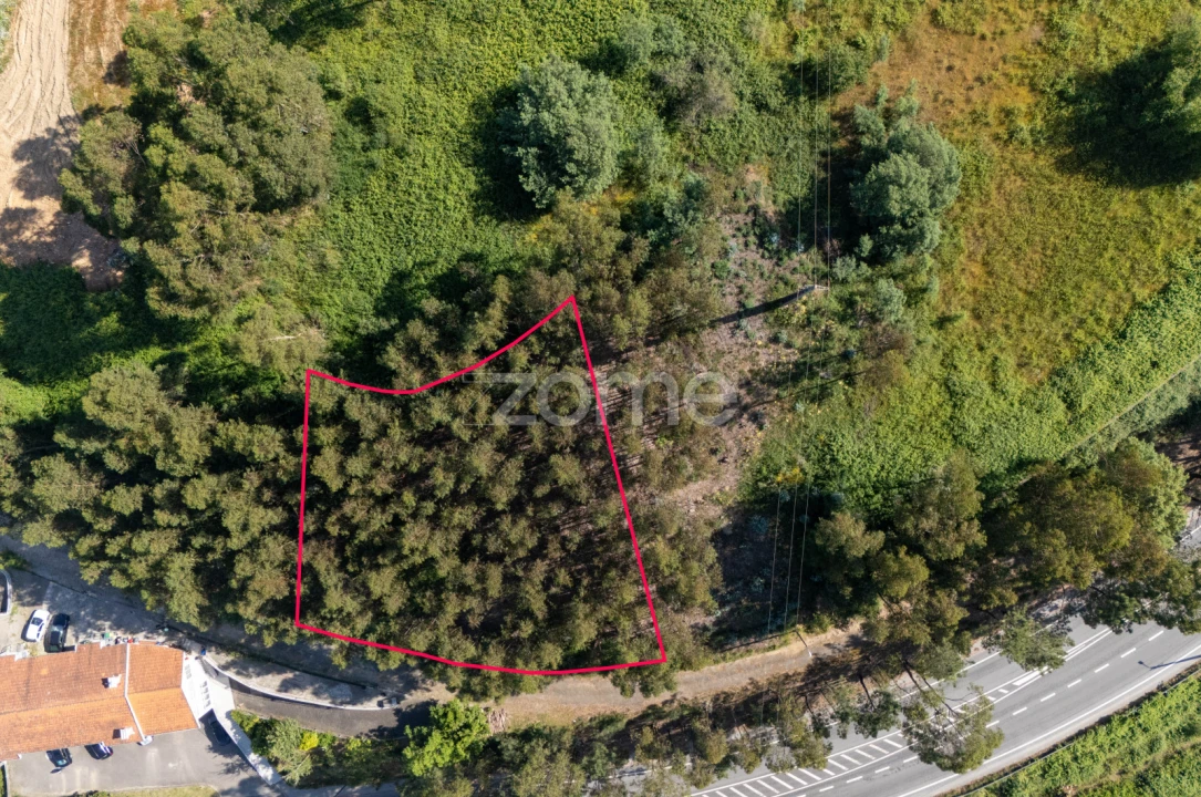 Terreno para Venda em Vandoma Foto 2