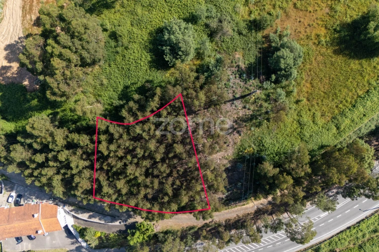 Terreno para Venda em Vandoma Foto 2