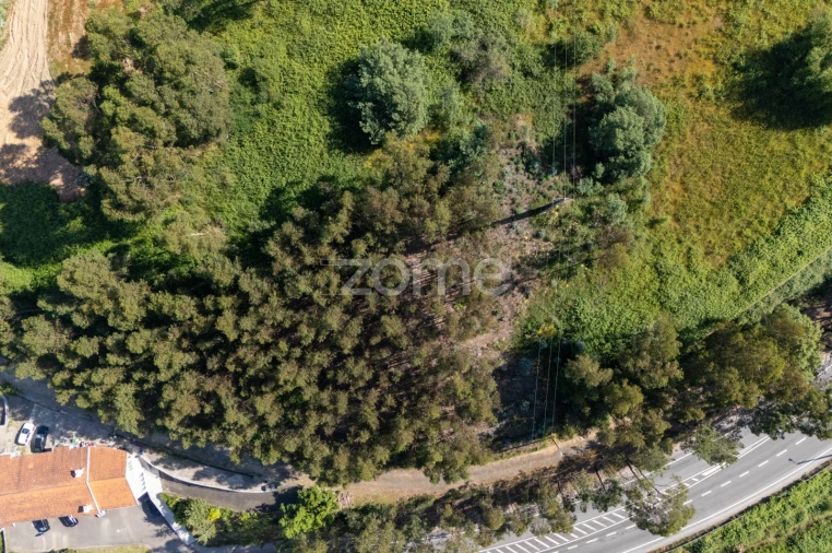 Terreno para Venda em Vandoma Foto 18