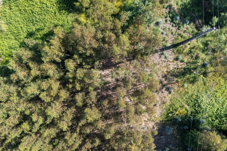 Terreno para Venda em Vandoma Foto 5