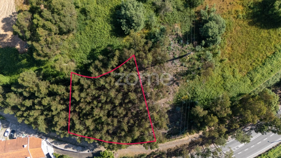 Terreno para Venda em Vandoma