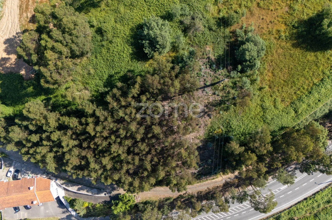 Terreno para Venda em Vandoma Foto 18