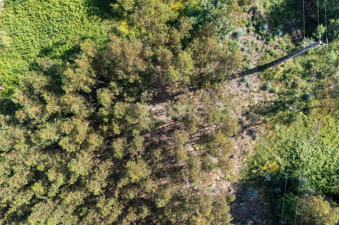 Terreno para Venda em Vandoma Foto 5