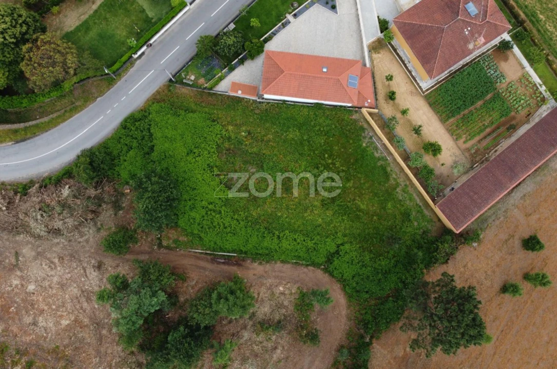 Terreno para Venda em Escariz (São Mamede) e Escariz (São Martinho) Foto 11