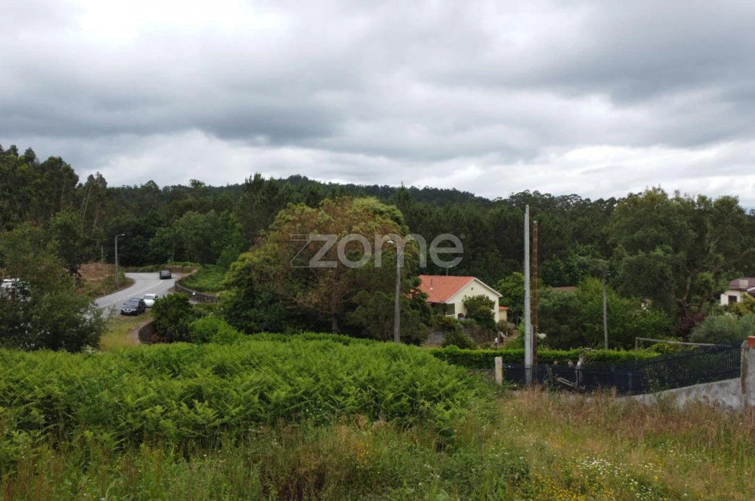 Terreno para Venda em Escariz (São Mamede) e Escariz (São Martinho) Foto 3