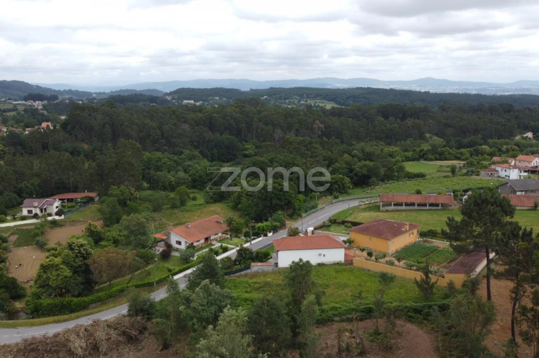 Terreno para Venda em Escariz (São Mamede) e Escariz (São Martinho) Foto 12