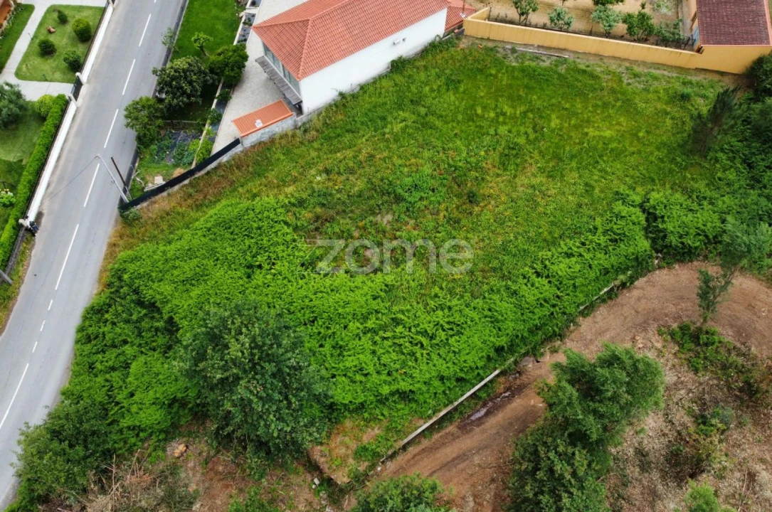 Terreno para Venda em Escariz (São Mamede) e Escariz (São Martinho) Foto 14