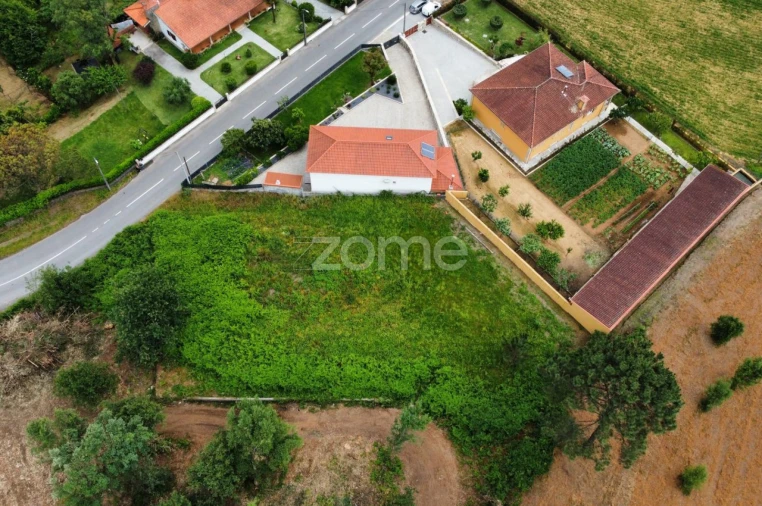 Terreno para Venda em Escariz (São Mamede) e Escariz (São Martinho) Foto 13