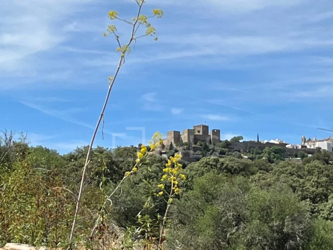 Terreno para Venda em Corval Foto 3
