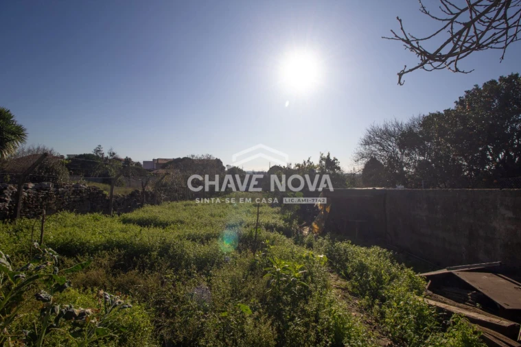 Negócio para Venda em Madalena Foto 13
