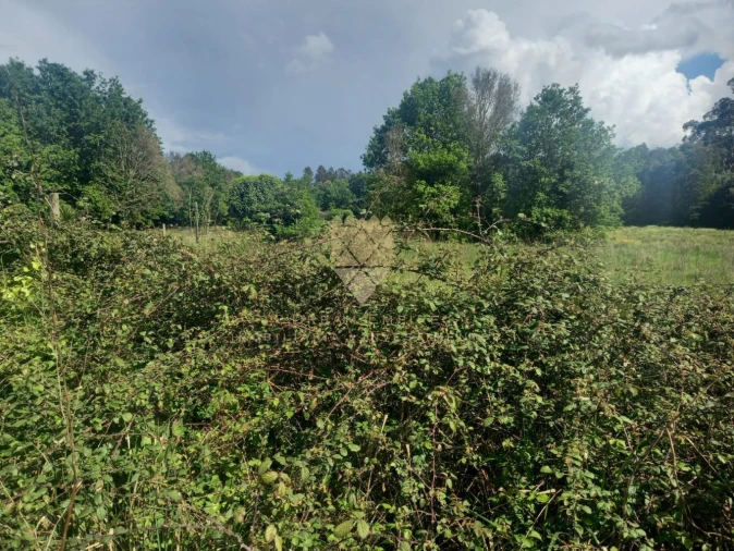 Terreno para Venda em Recarei Foto 6