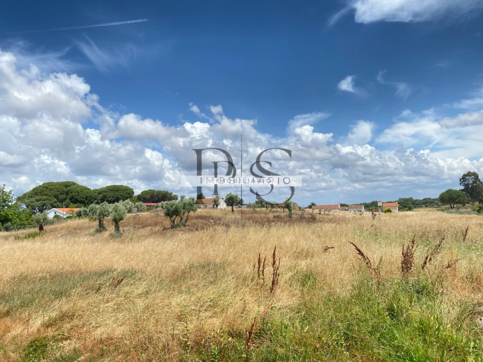 Quinta T3 para Venda em Grândola e Santa Margarida da Serra Foto 7