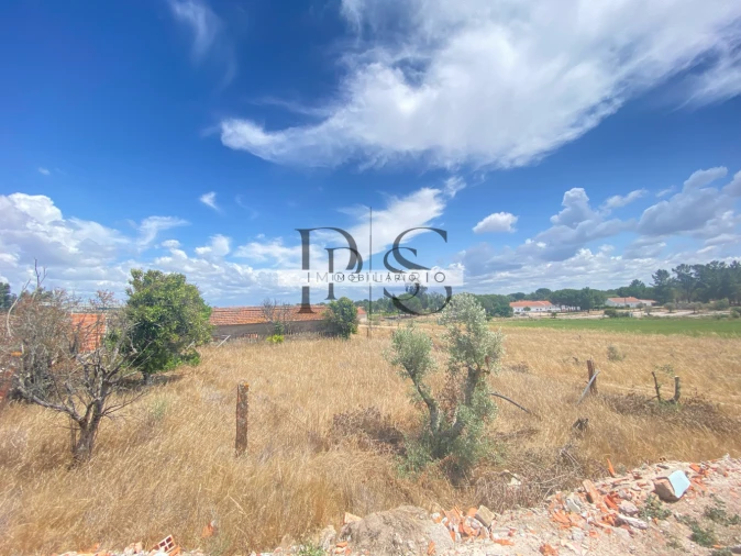 Quinta T3 para Venda em Grândola e Santa Margarida da Serra Foto 5