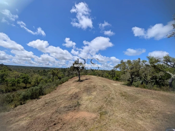 Terreno para Venda em Grândola e Santa Margarida da Serra Foto 5
