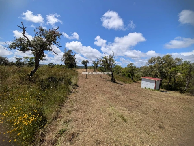 Terreno para Venda em Grândola e Santa Margarida da Serra Foto 7