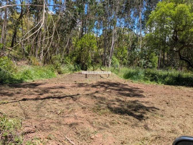 Terreno para Venda em Grândola e Santa Margarida da Serra Foto 11