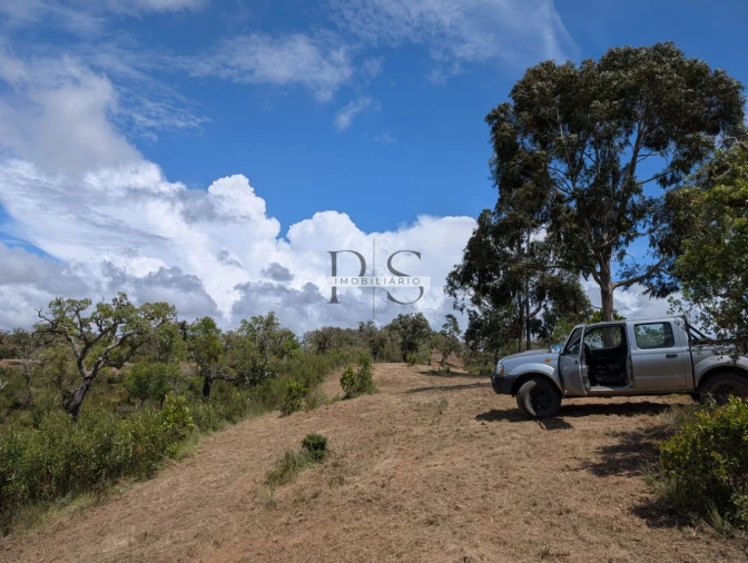 Terreno para Venda em Grândola e Santa Margarida da Serra Foto 13