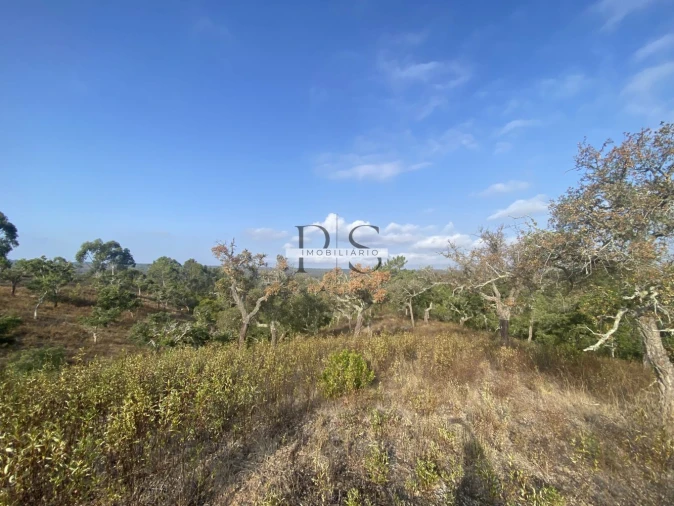 Terreno para Venda em Grândola e Santa Margarida da Serra Foto 1