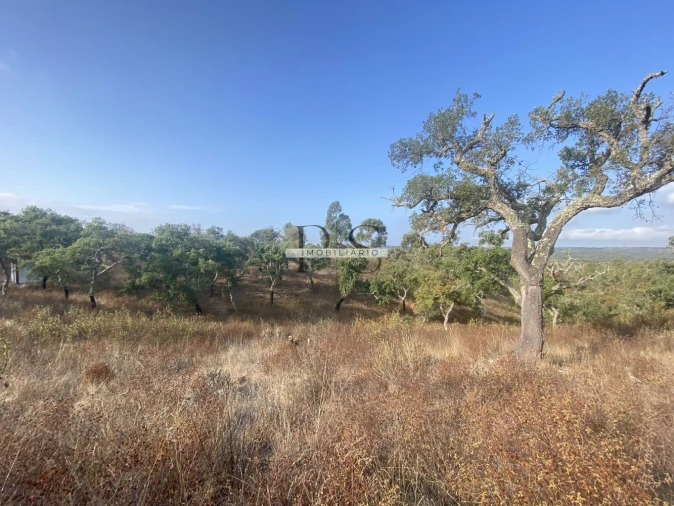 Terreno para Venda em Grândola e Santa Margarida da Serra Foto 3