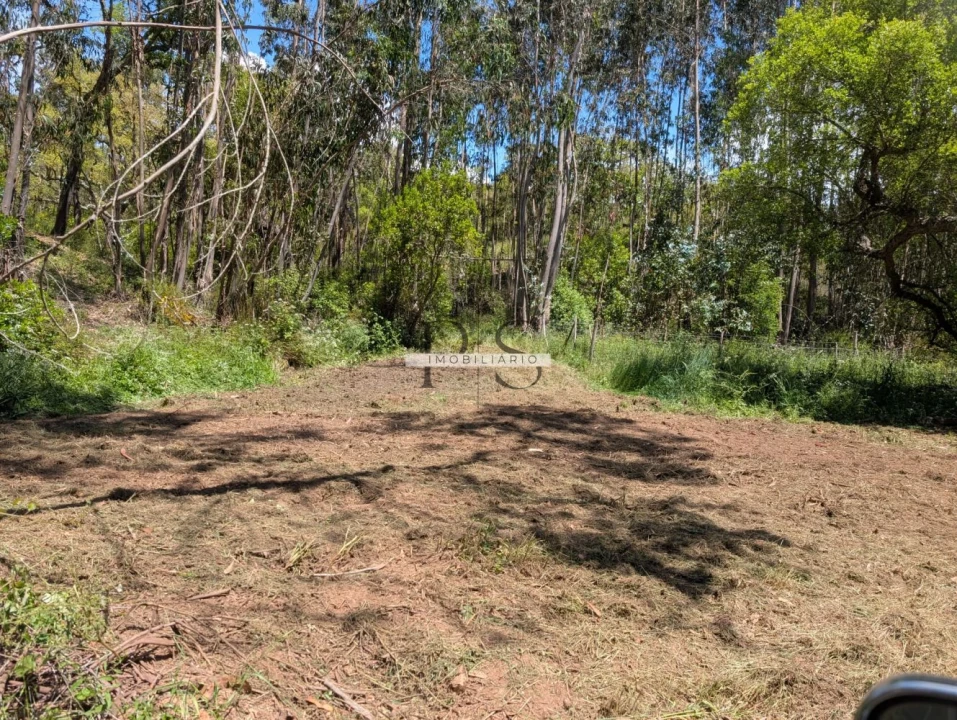 Terreno para Venda em Grândola e Santa Margarida da Serra Foto 11