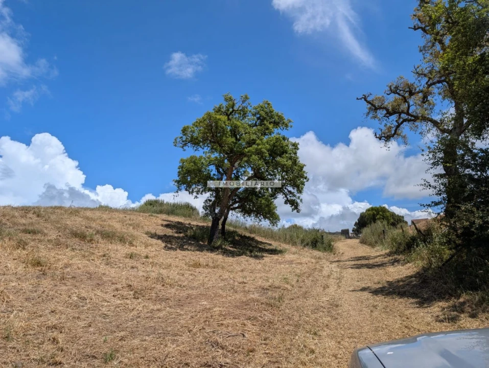 Terreno para Venda em Grândola e Santa Margarida da Serra Foto 9