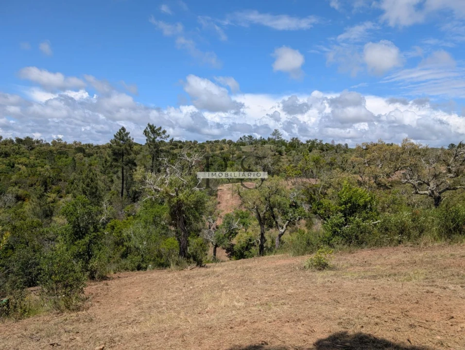 Terreno para Venda em Grândola e Santa Margarida da Serra Foto 14