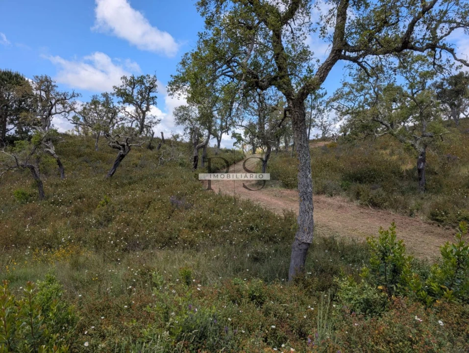 Terreno para Venda em Grândola e Santa Margarida da Serra Foto 6