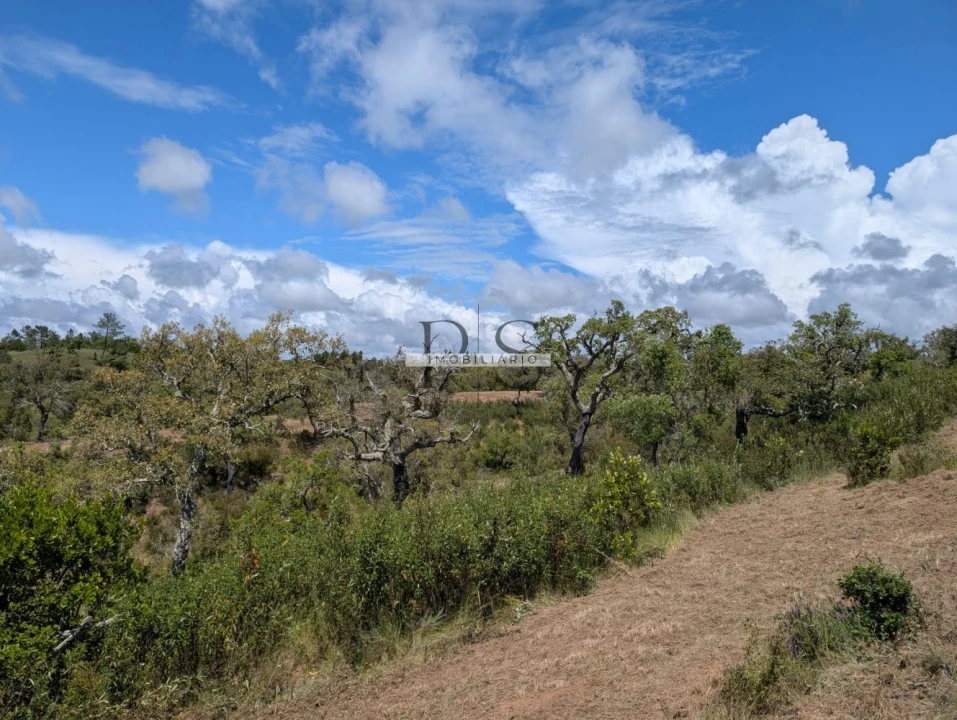 Terreno para Venda em Grândola e Santa Margarida da Serra Foto 15