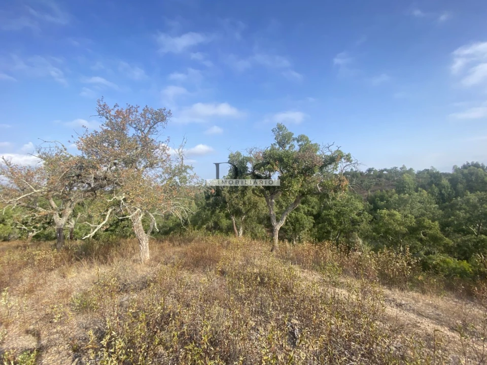 Terreno para Venda em Grândola e Santa Margarida da Serra Foto 2