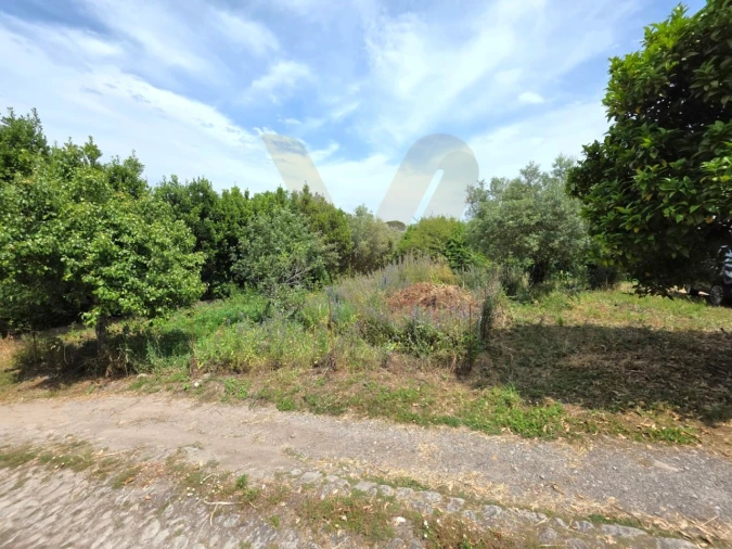 Moradia T4 para Venda em Arcozelo Foto 19