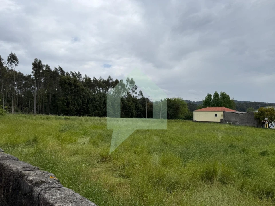 Terreno para Venda em São Pedro Fins Foto 4