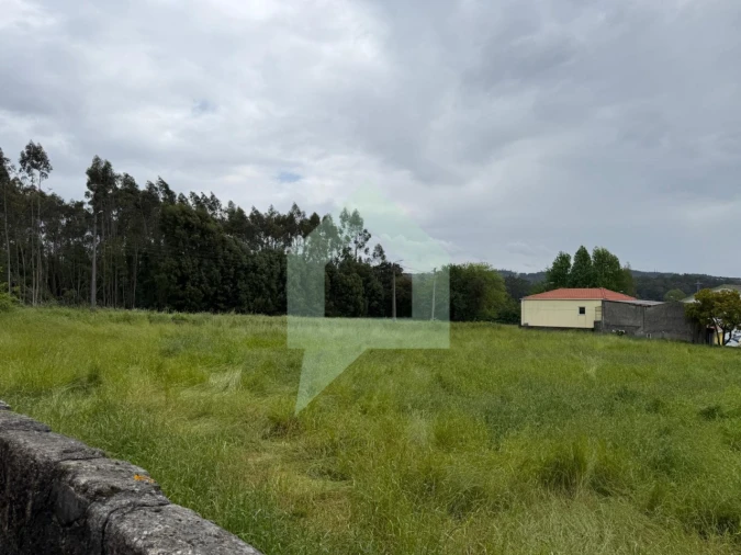 Terreno para Venda em São Pedro Fins Foto 4