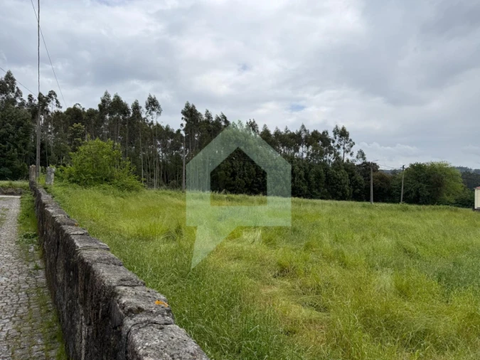 Terreno para Venda em São Pedro Fins
