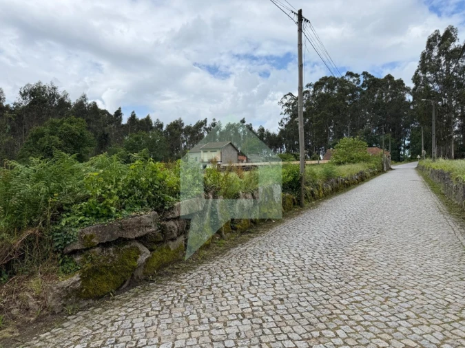 Terreno para Venda em São Pedro Fins Foto 9