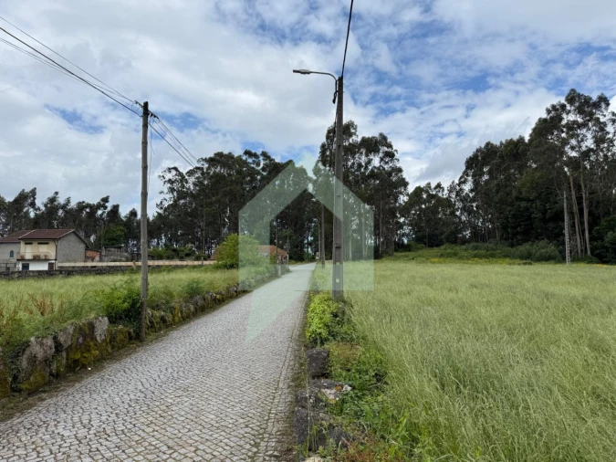 Terreno para Venda em São Pedro Fins Foto 12