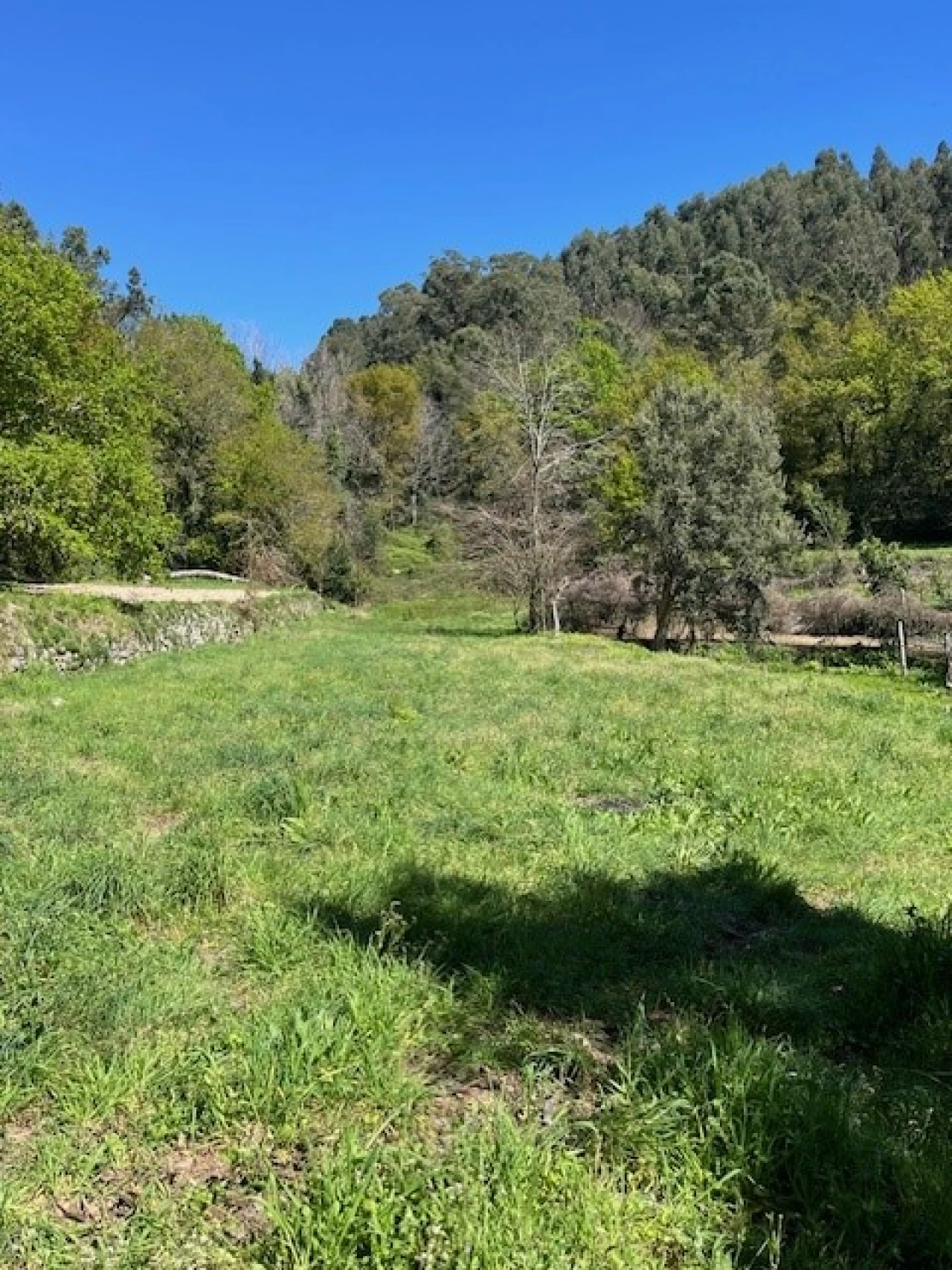 Terreno para Venda em Ponte da Barca, V.N. Muía, Paço Vedro Magalhães Foto 1