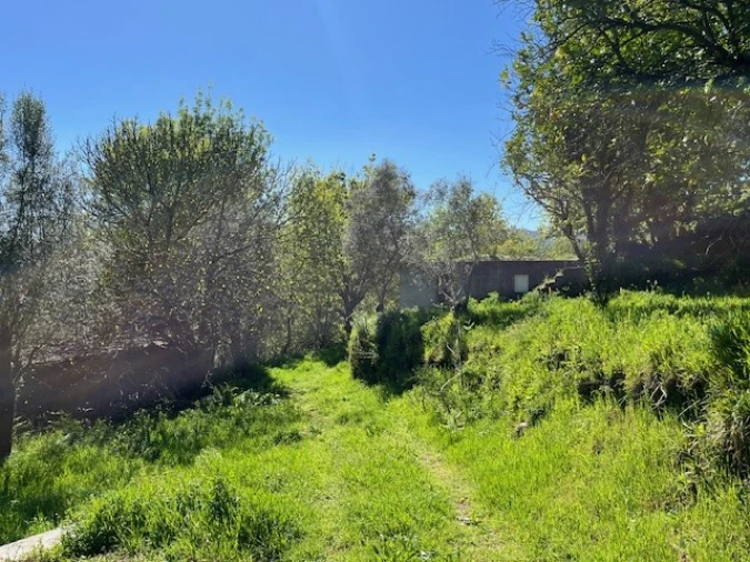 Terreno para Venda em Ponte da Barca, V.N. Muía, Paço Vedro Magalhães Foto 6