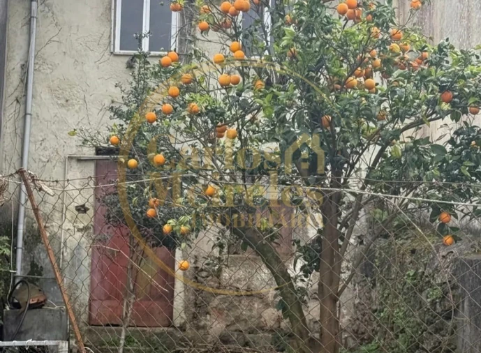 Moradia T4 para Venda em Nogueiró e Tenões Foto 1