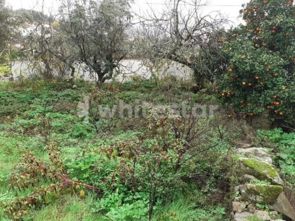 Moradia T5 para Venda em Ribeira de Nisa e Carreiras Foto 7