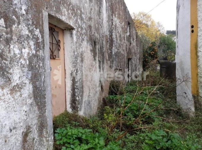 Moradia T5 para Venda em Ribeira de Nisa e Carreiras Foto 2