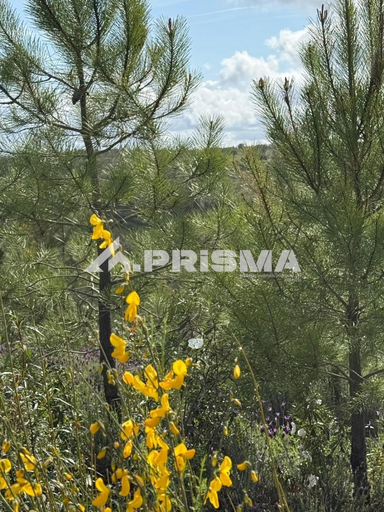 Quinta T3 para Venda em Penamacor Foto 25