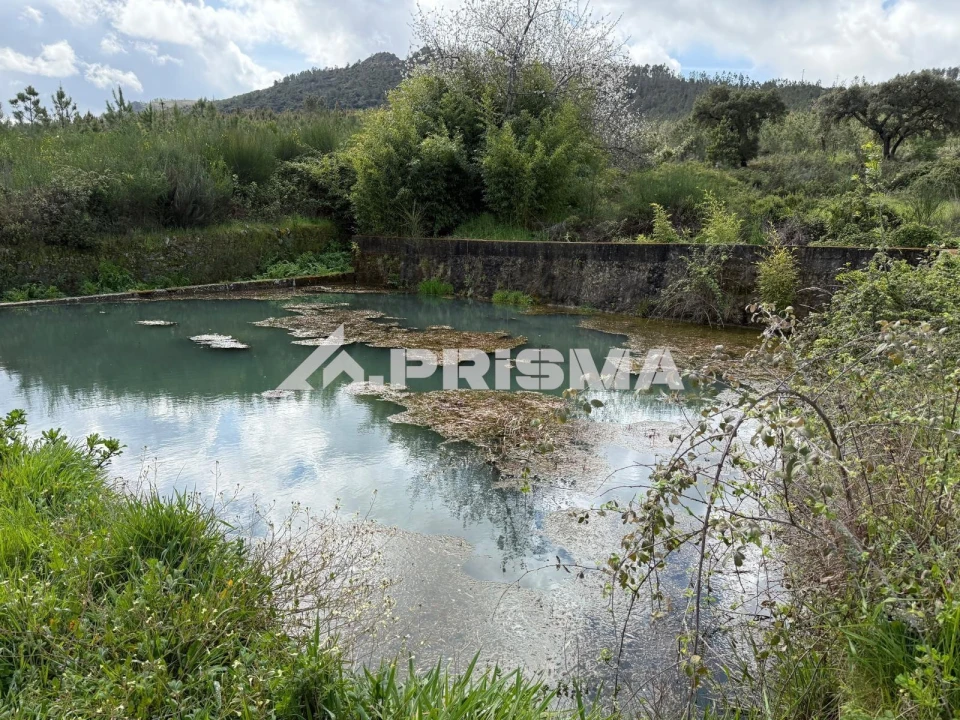 Quinta T3 para Venda em Penamacor Foto 32