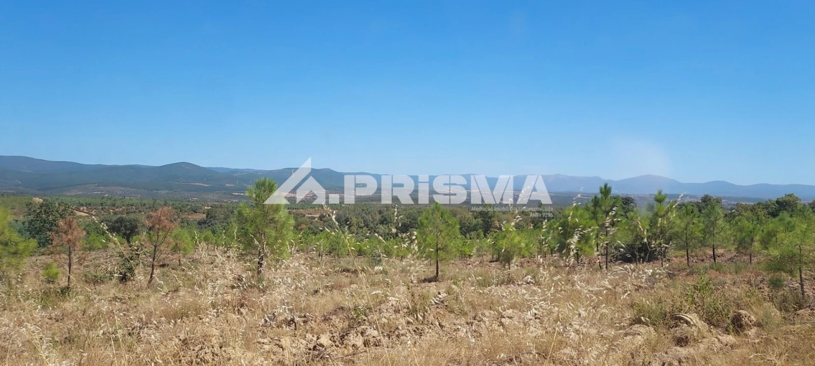 Quinta T3 para Venda em Penamacor Foto 19