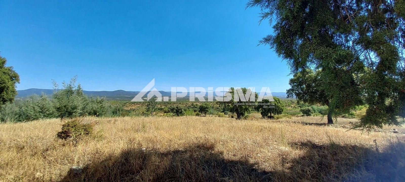 Quinta T3 para Venda em Penamacor Foto 11