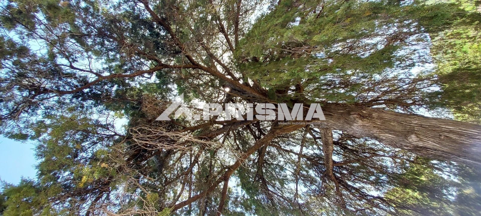 Quinta T3 para Venda em Penamacor Foto 12