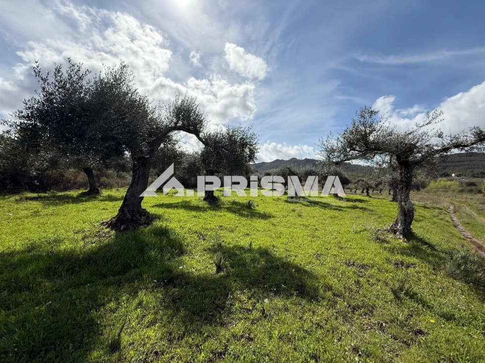 Quinta T3 para Venda em Penamacor Foto 26